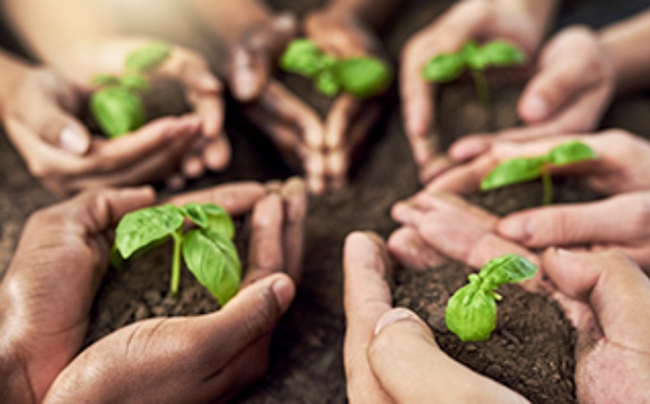 Multiple hands cradling soil and green sprouts